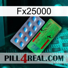 Fx25000 new03